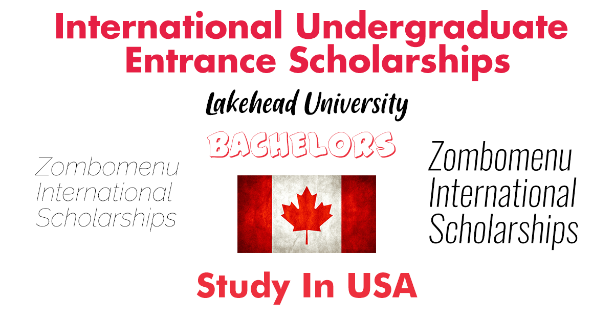 International Undergraduate Entrance Scholarships