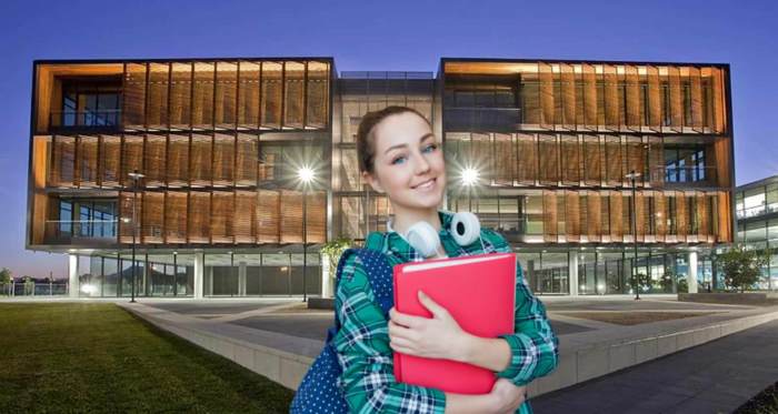 Matsumae International Foundation Research Fellowship